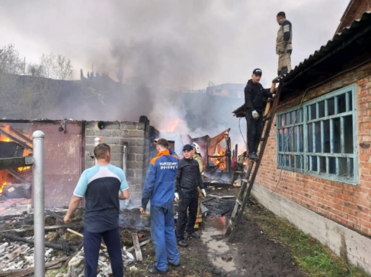 фото: ашық дереккөзі