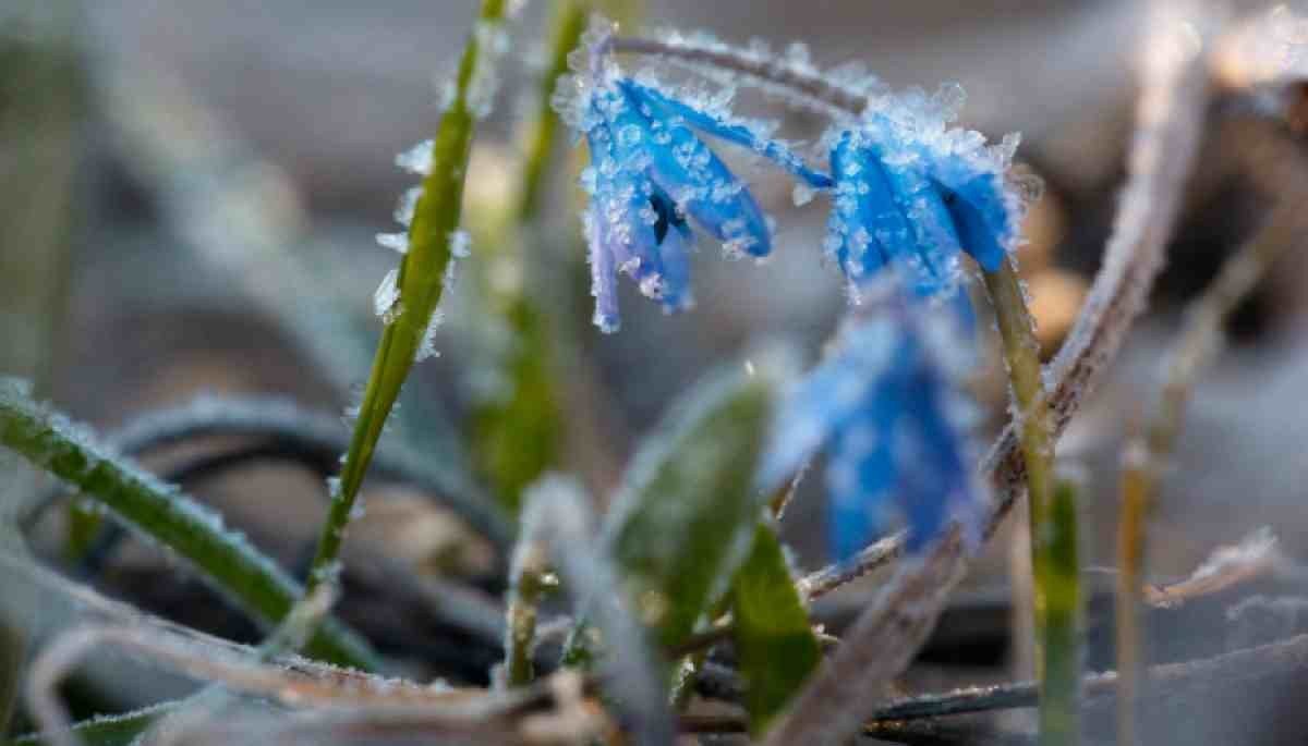 Фото: stan.kz