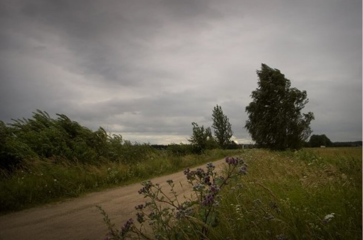 Фото: vecherka74.ru