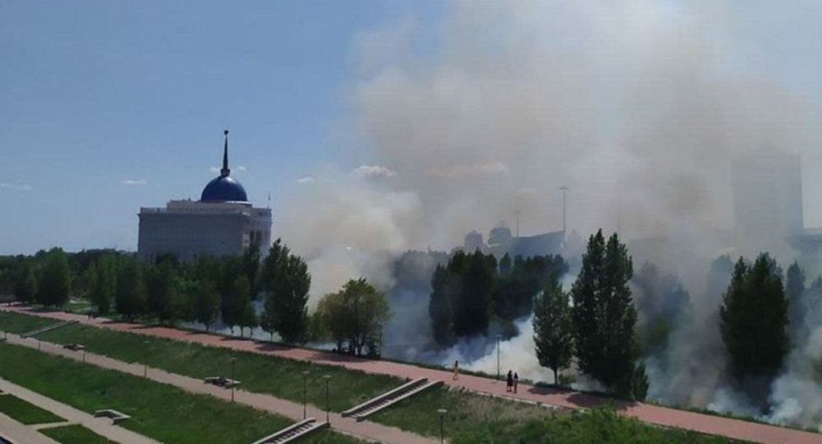 Фото: видеодан скриншот