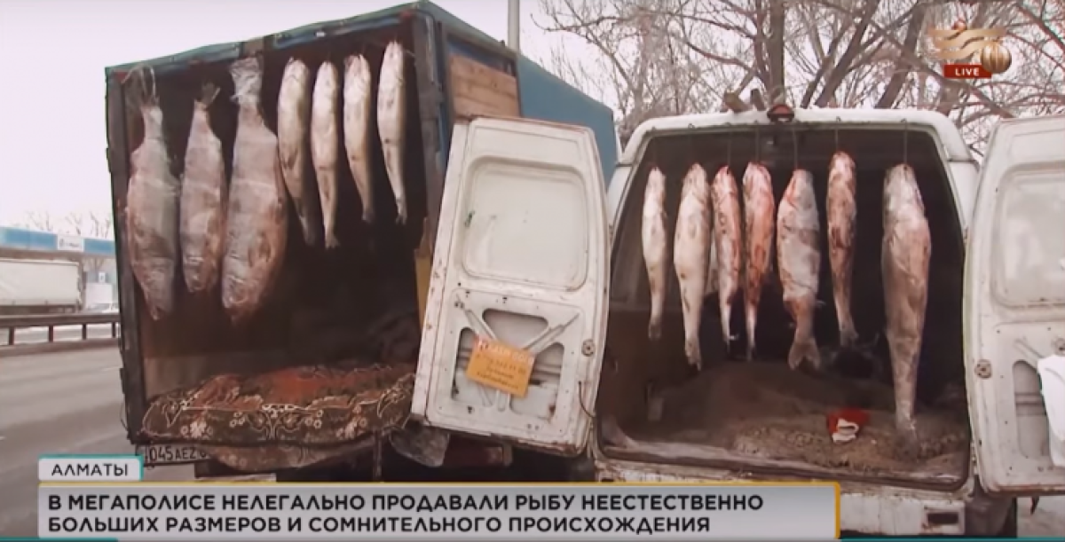 фото: tengrinews.kz