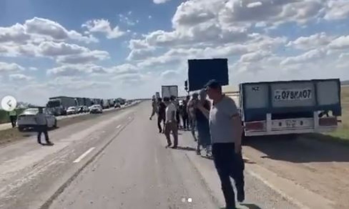 Фото: видеодан