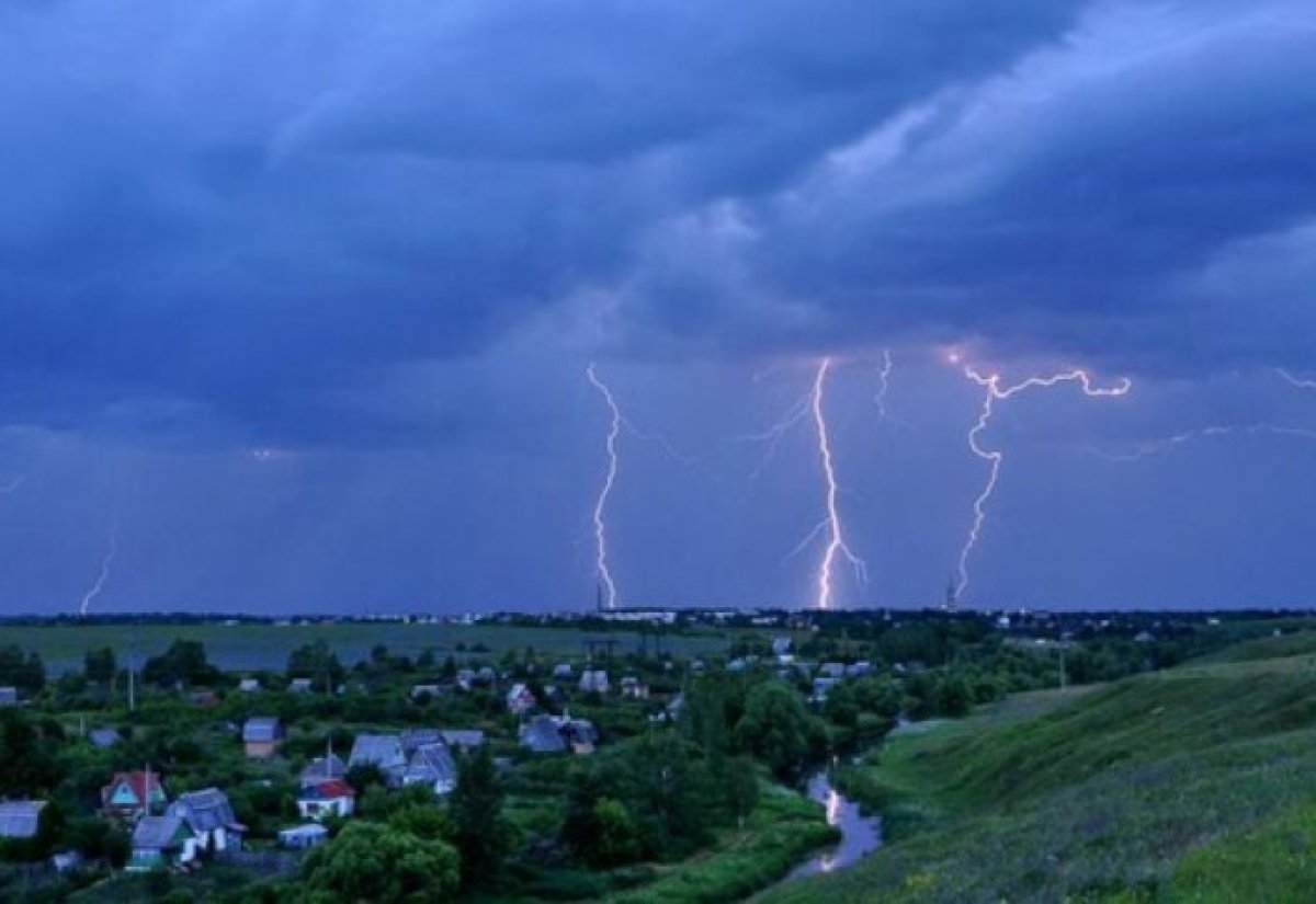 Фото: ашық дереккөзі