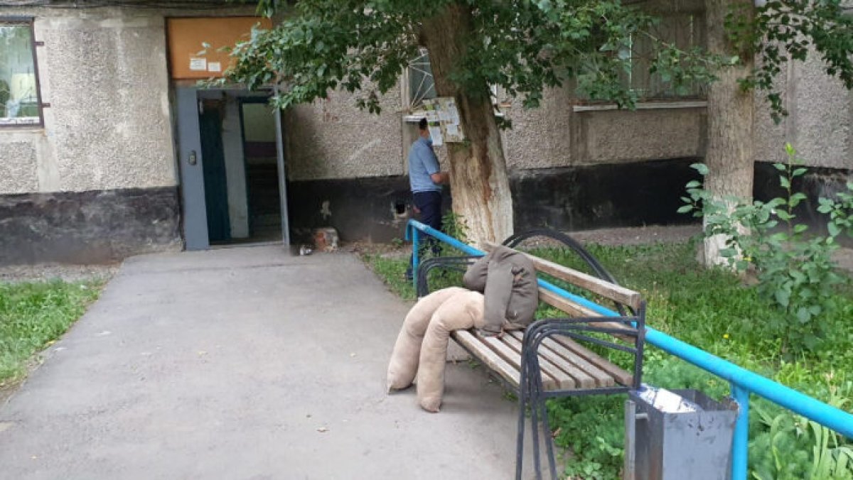 Фото: ашық дереккөзі