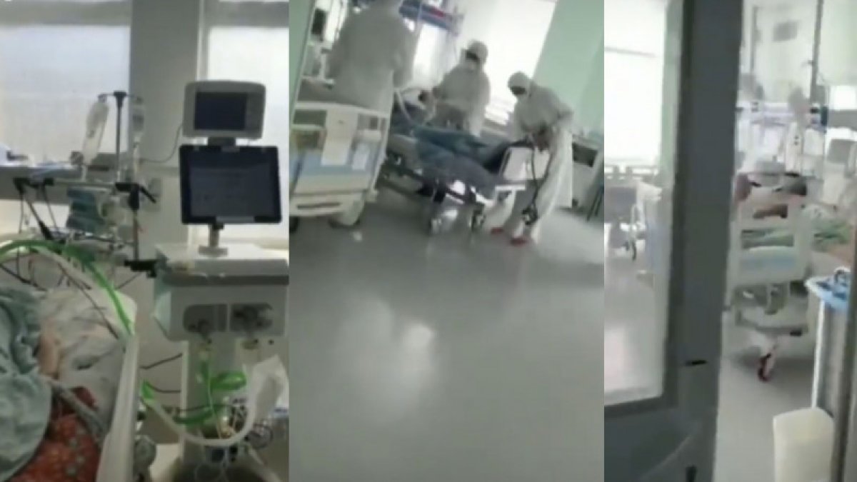 Фото: видеодан скриншот