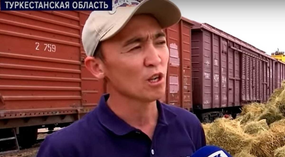 Фото: видеодан скриншот