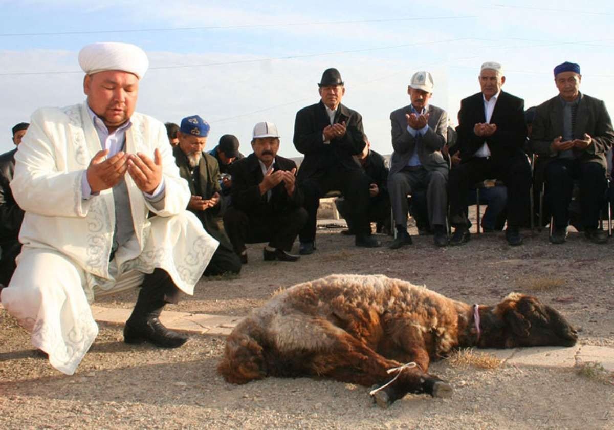 Фото: ашық дереккөзі