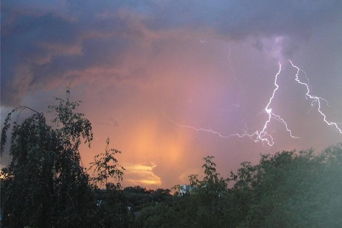 Фото: ашық дереккөзі