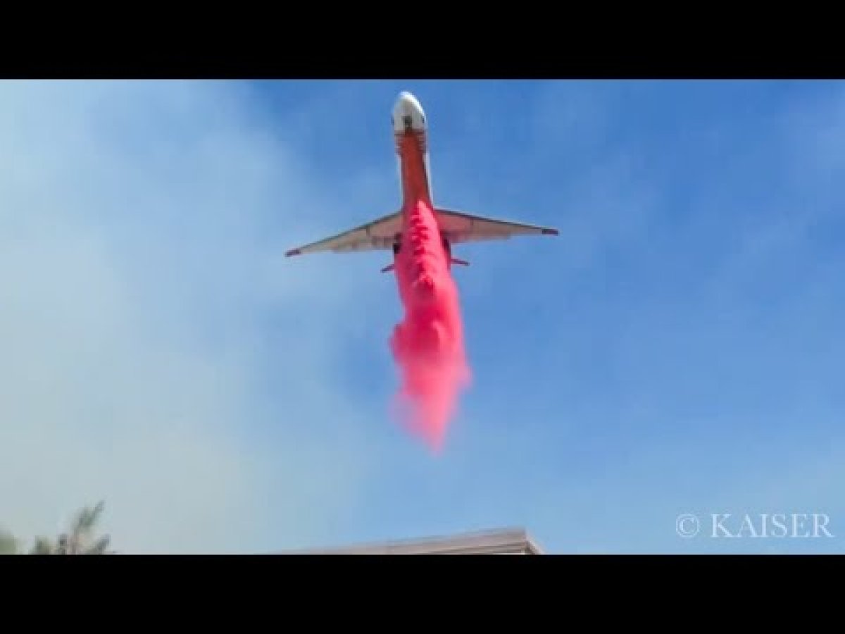 Фото: ашық дереккөзі