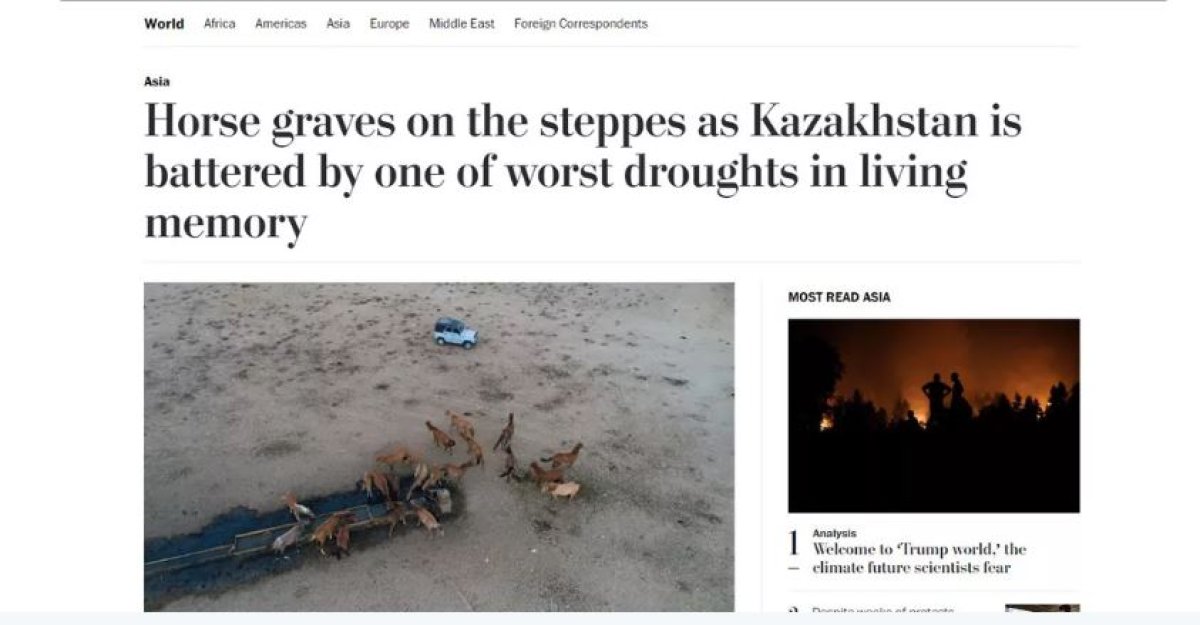 Фото: ашық дерекөз