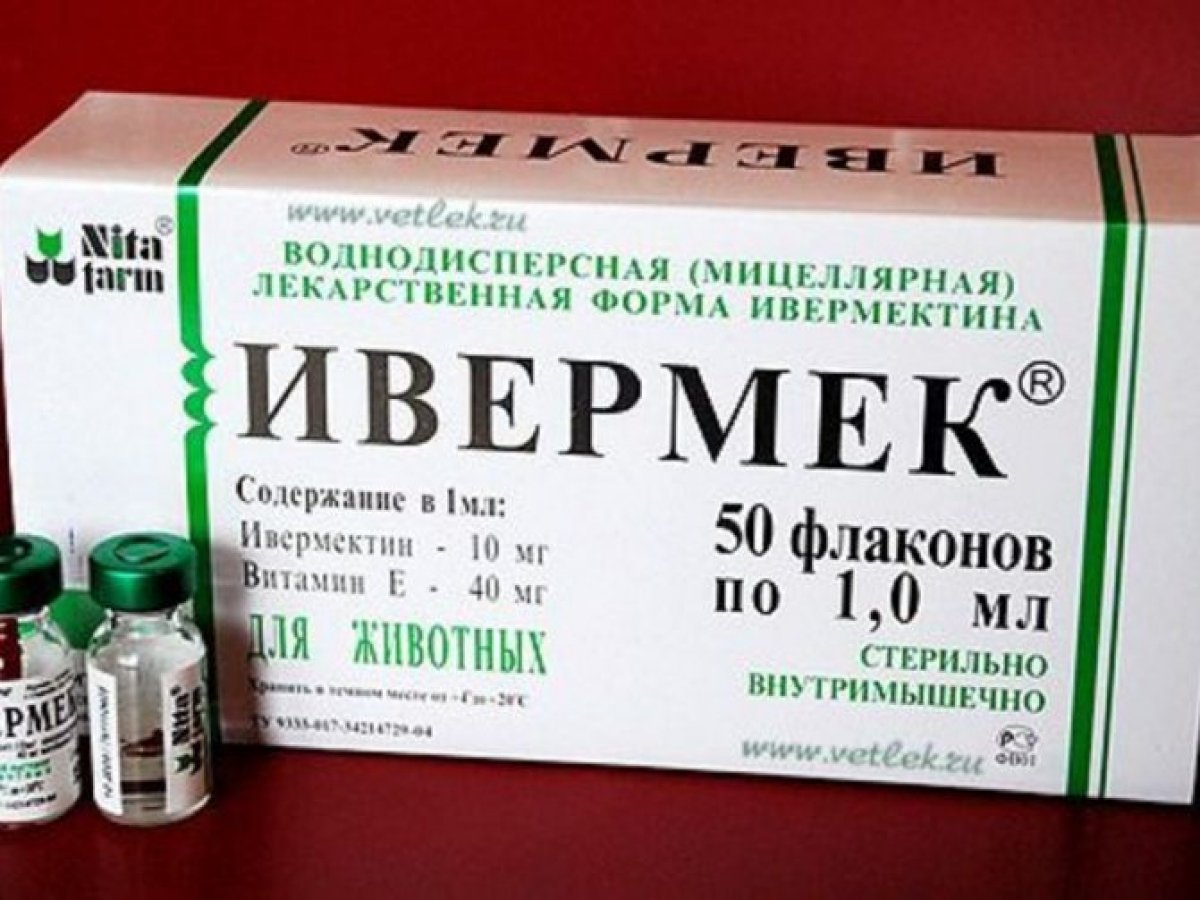 Фото: ашық дереккөзі