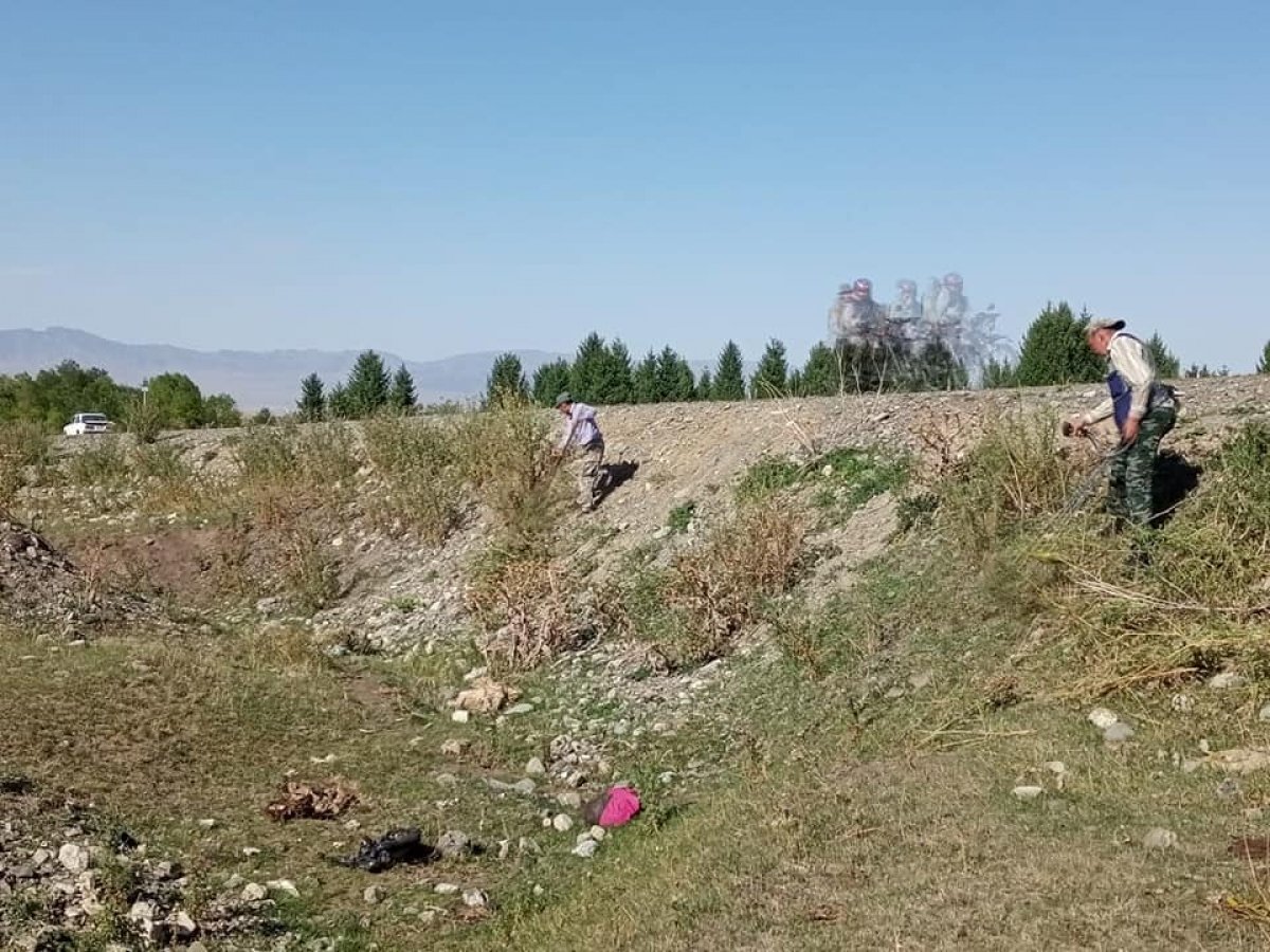 Фото: ашық дерекөз
