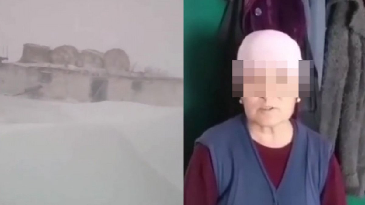 Фото: видеодан скриншот