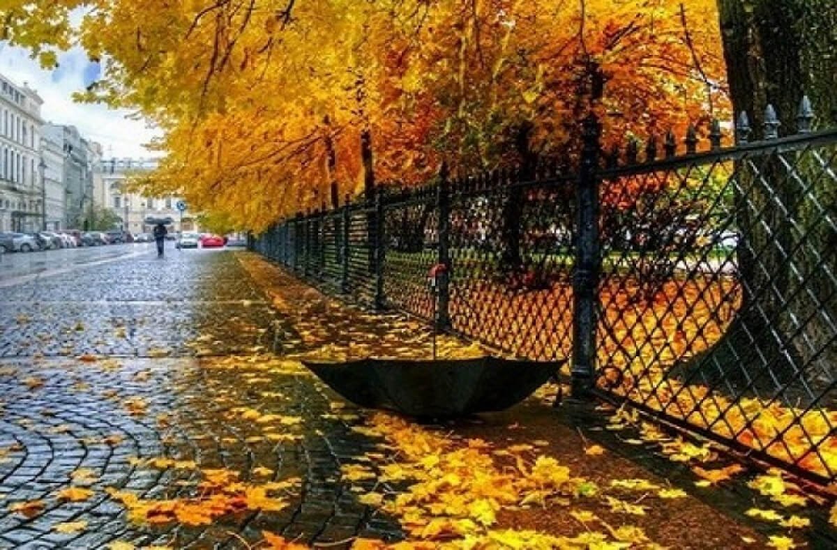 Фото: ашық дереккөзі