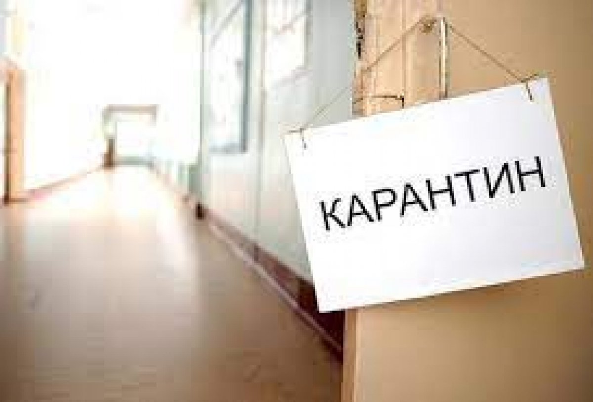 Фото: ашық дереккөзі
