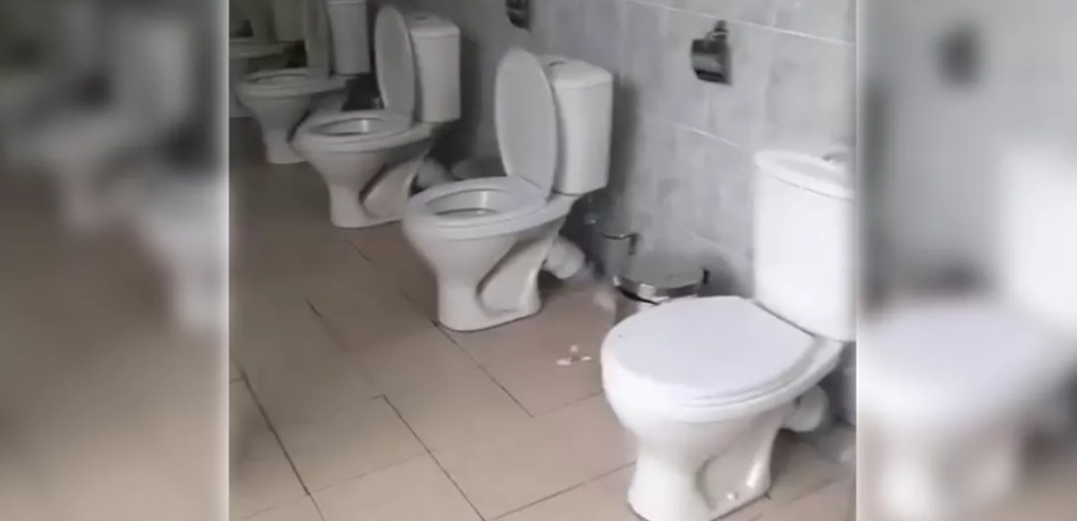 Фото: ашық дереккөз