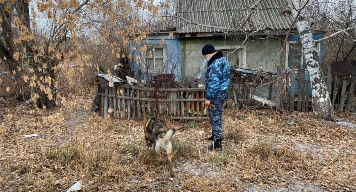 Фото: ашық дереккөз