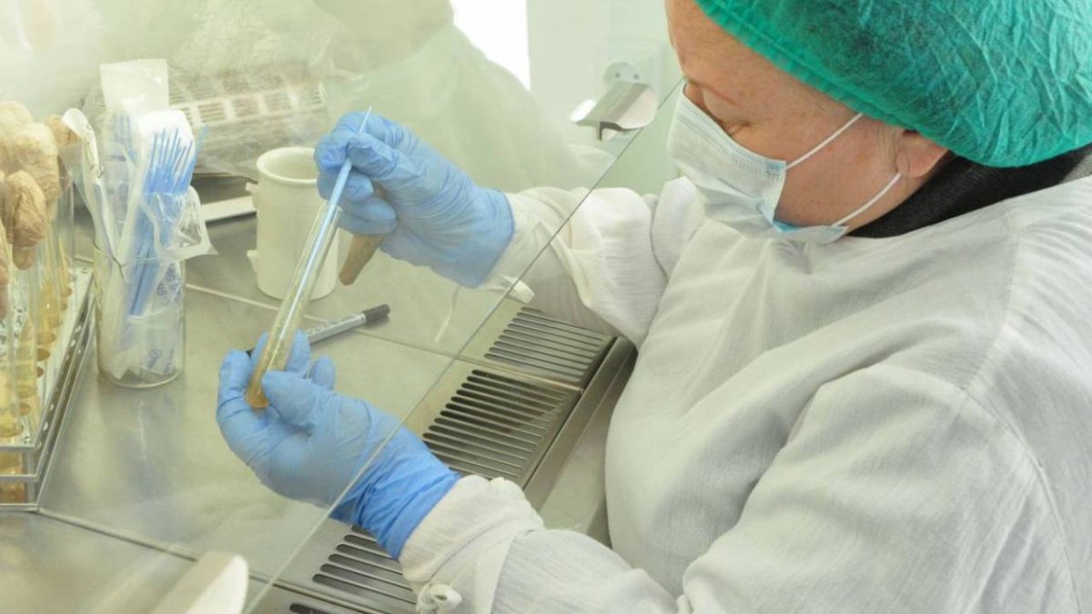 biosafety.kz