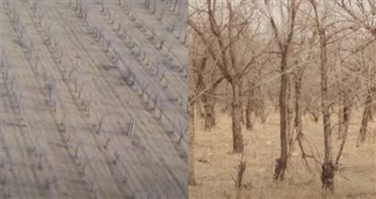 Фото: ашық дереккөз