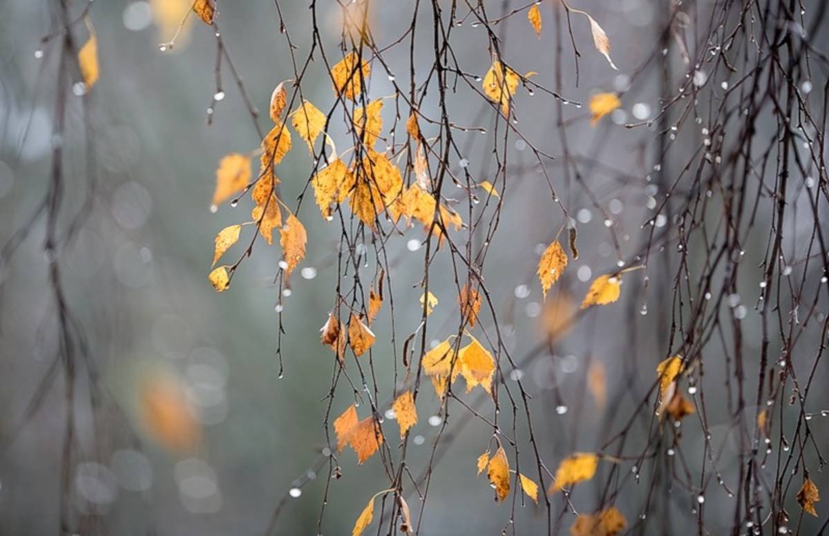 Фото: stan.kz