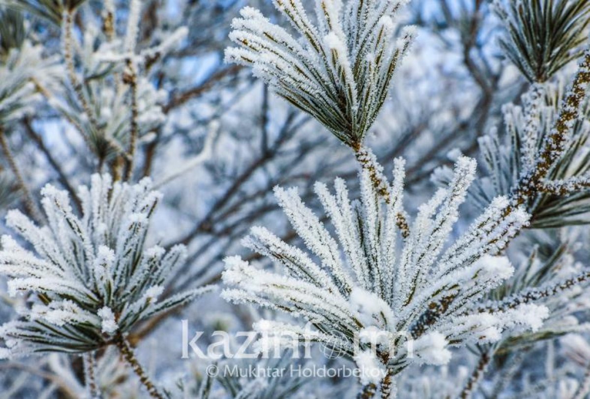 Фото: inform.kz