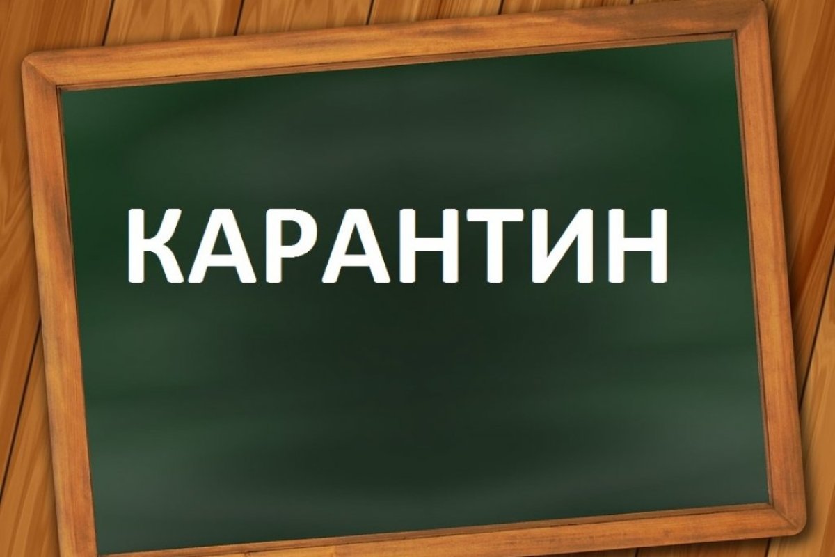 Фото: ашық дерекөз