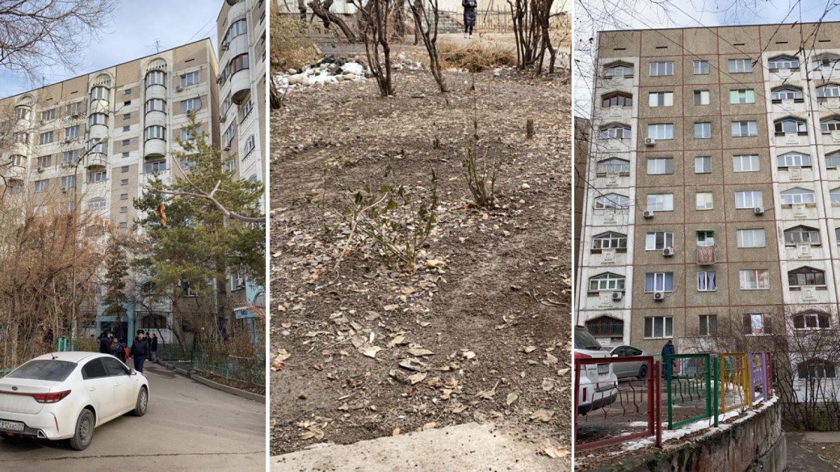 Фото: ашық дерекөз