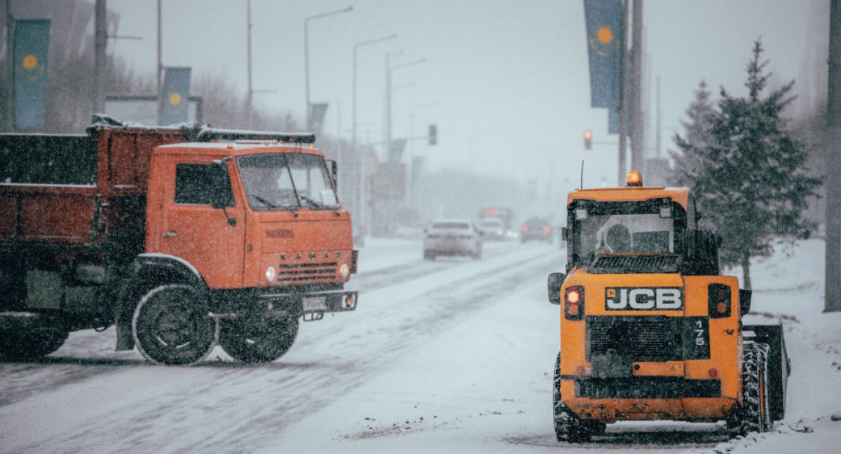 Фото: ашық дереккөз