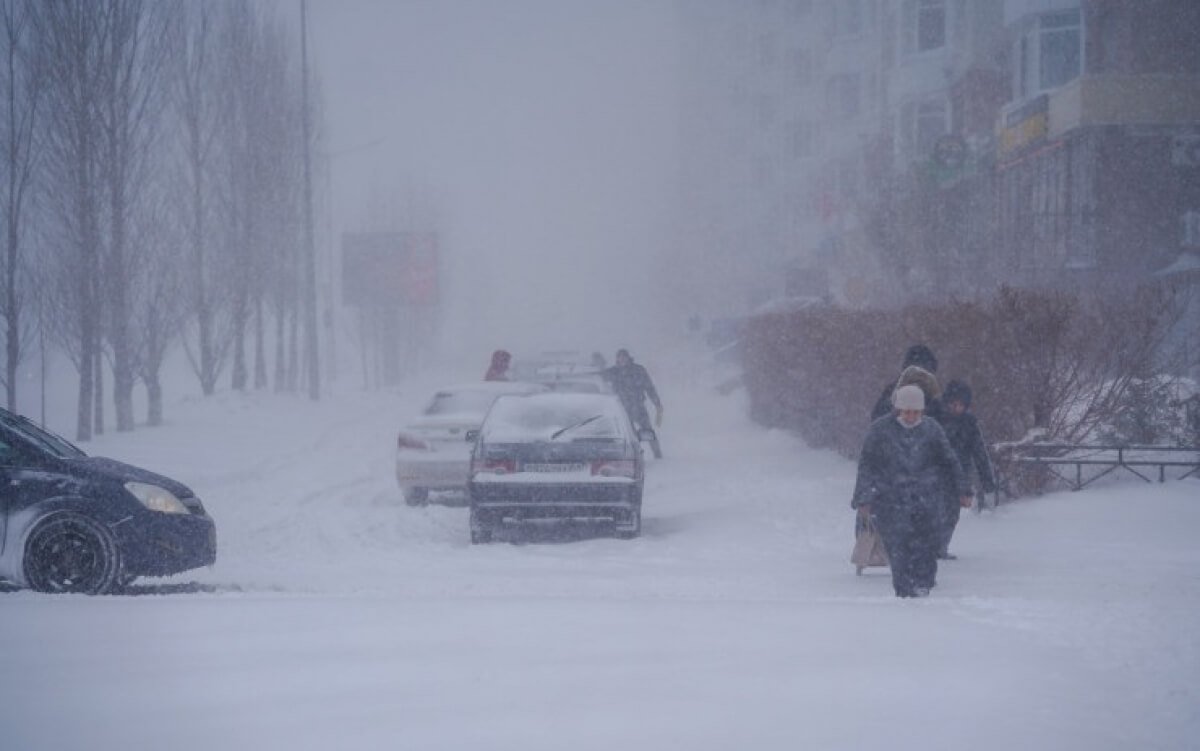 Фото: ашық дерекөз
