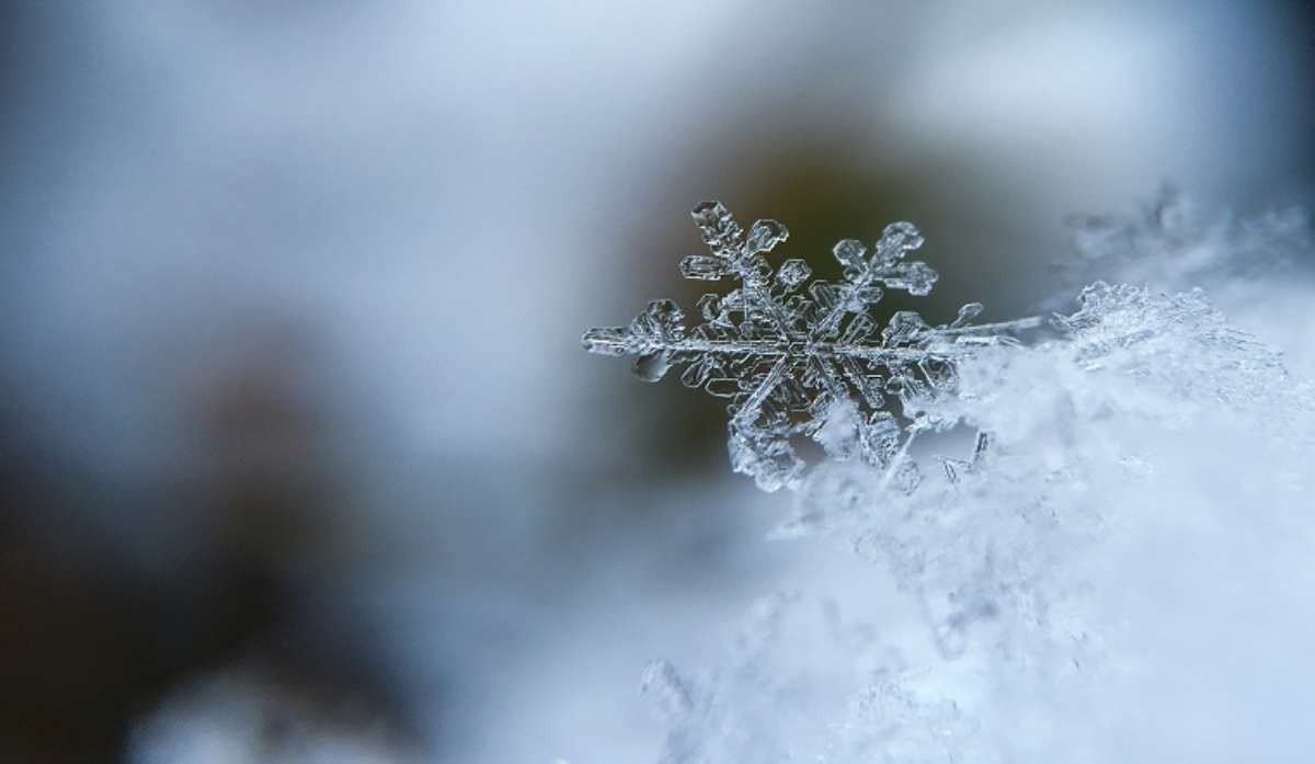 Фото: ашық дерекөз