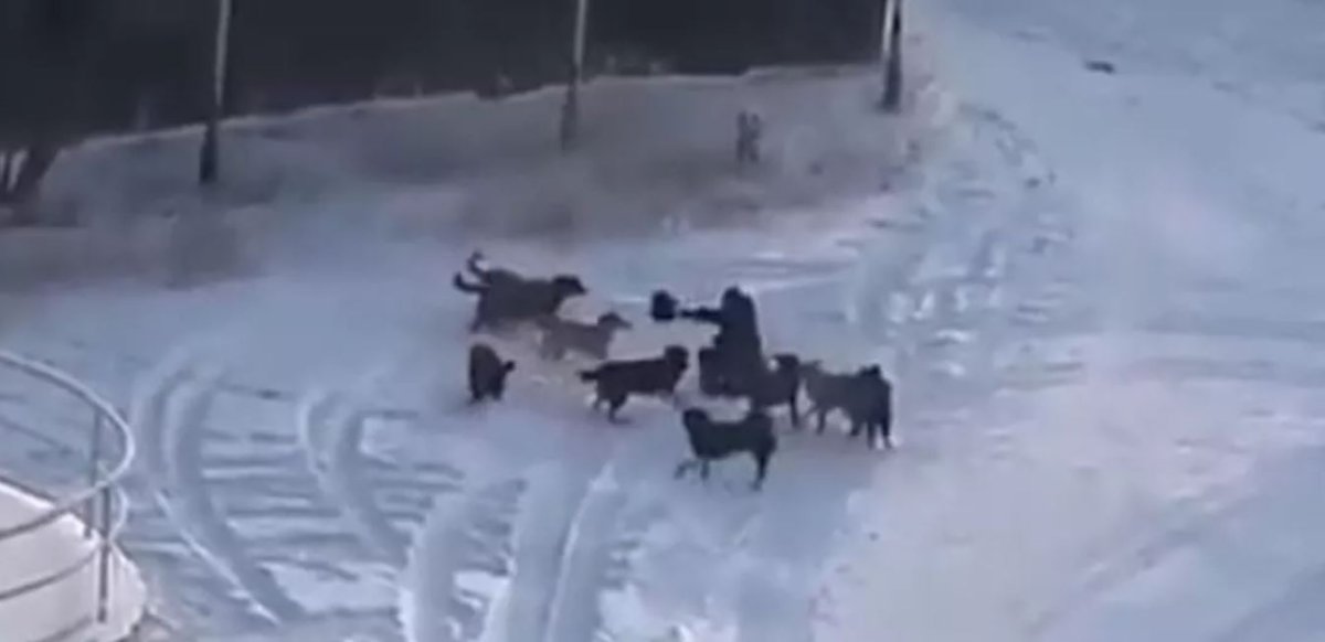 Фото: ашық дереккөз
