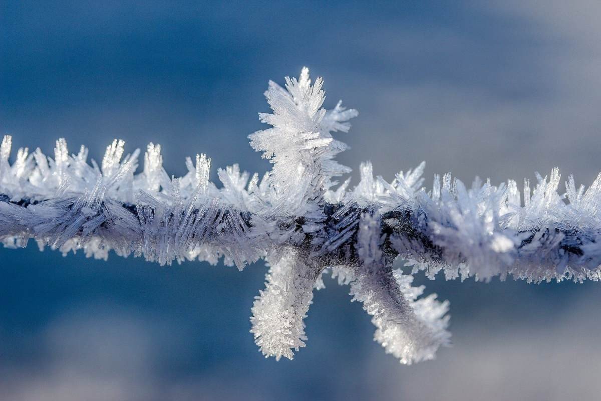 Фото: ашық дереккөз