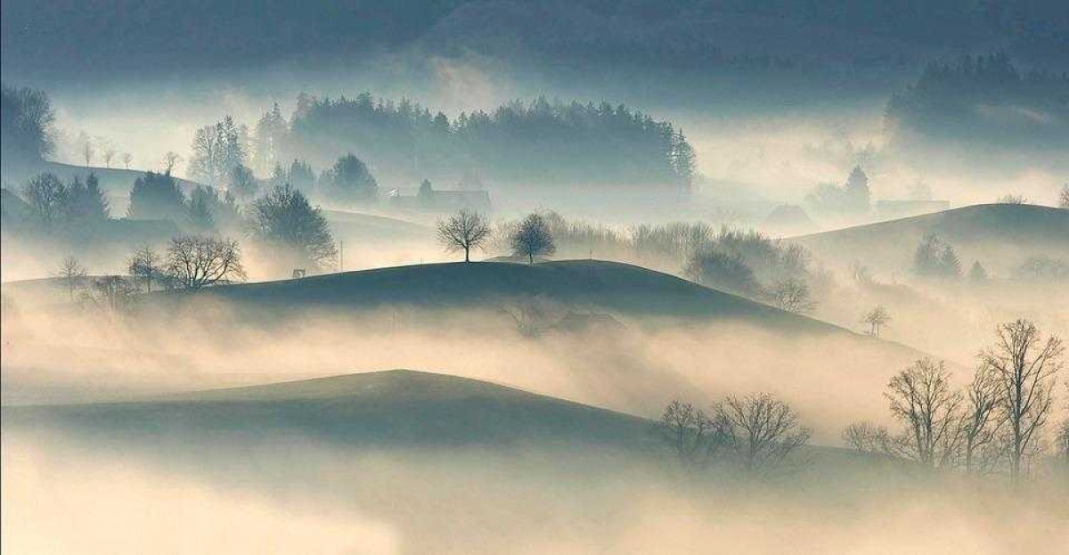 Фото: ашық дереккөз