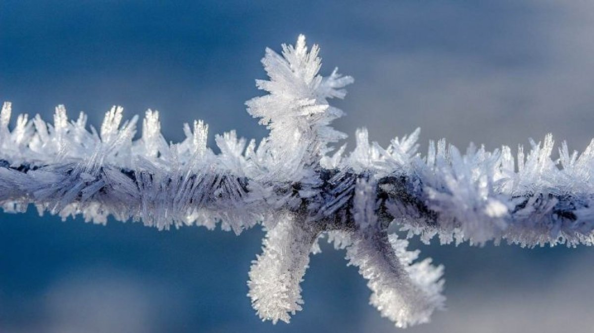 Фото: ашық дерекөз