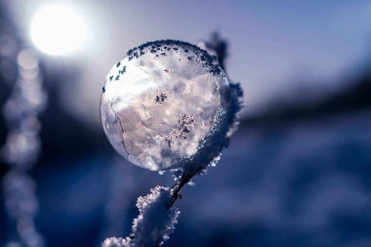 Фото: ашық дереккөз