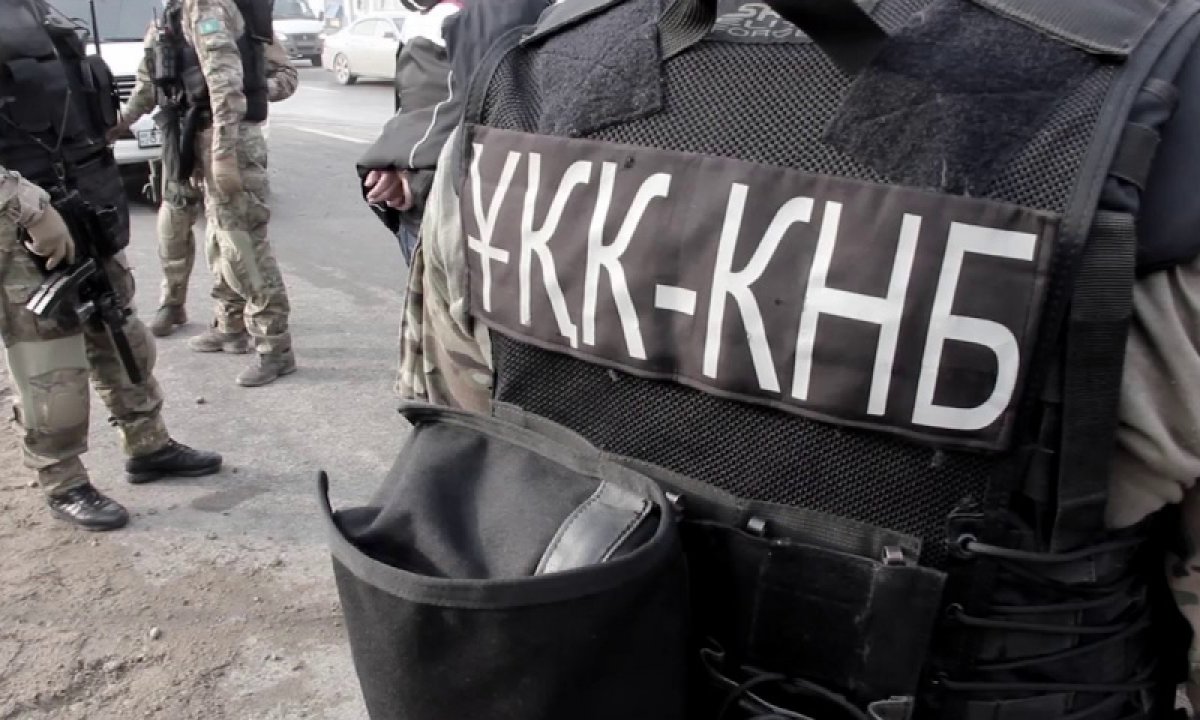 Фото: ашық дереккөз