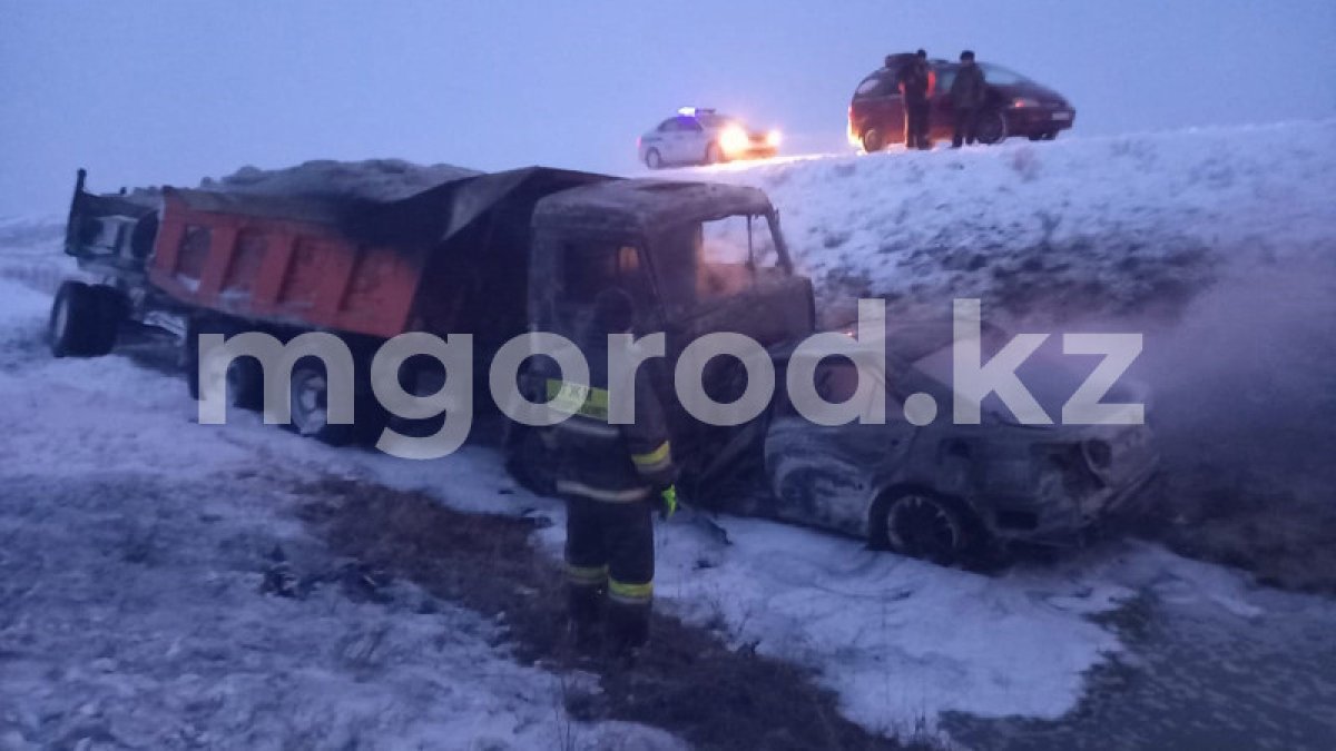 Фото: Tengrinews.kz