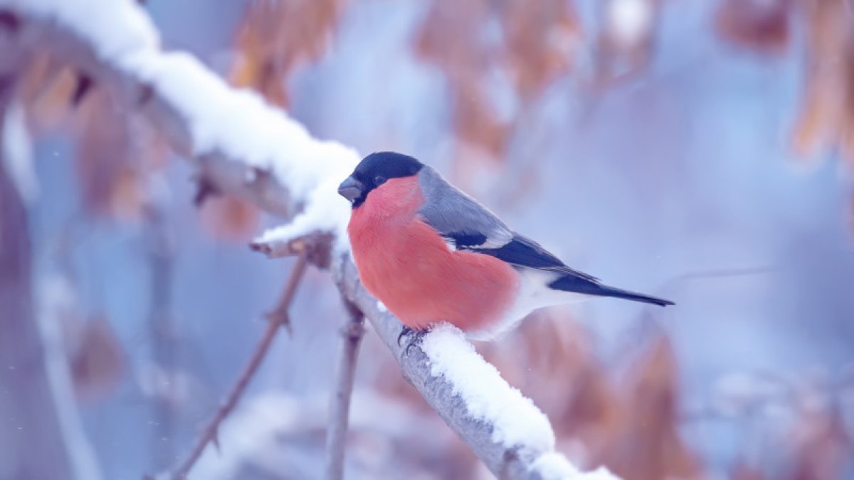 Фото: Tengrinews.kz