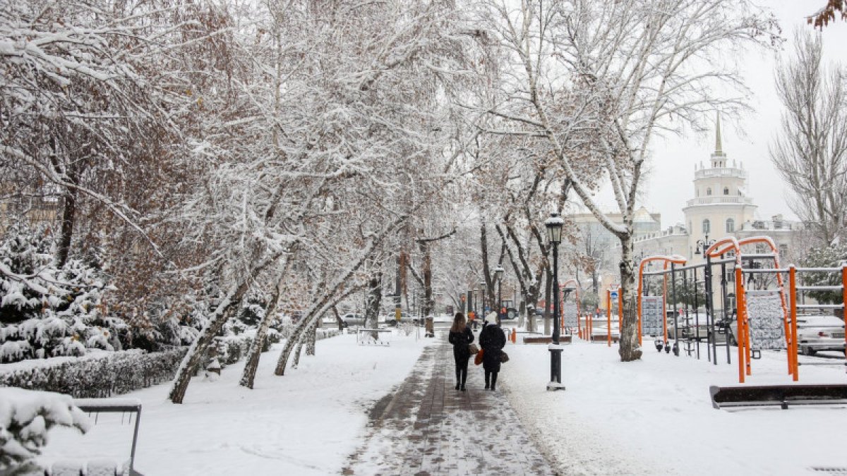 Фото: Tengrinews.kz