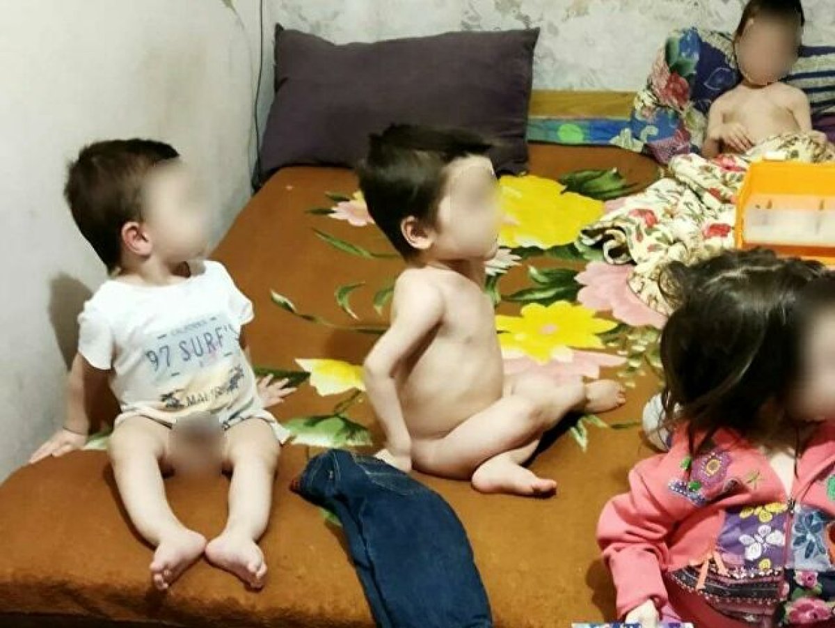 Фото: ашық дереккөзден