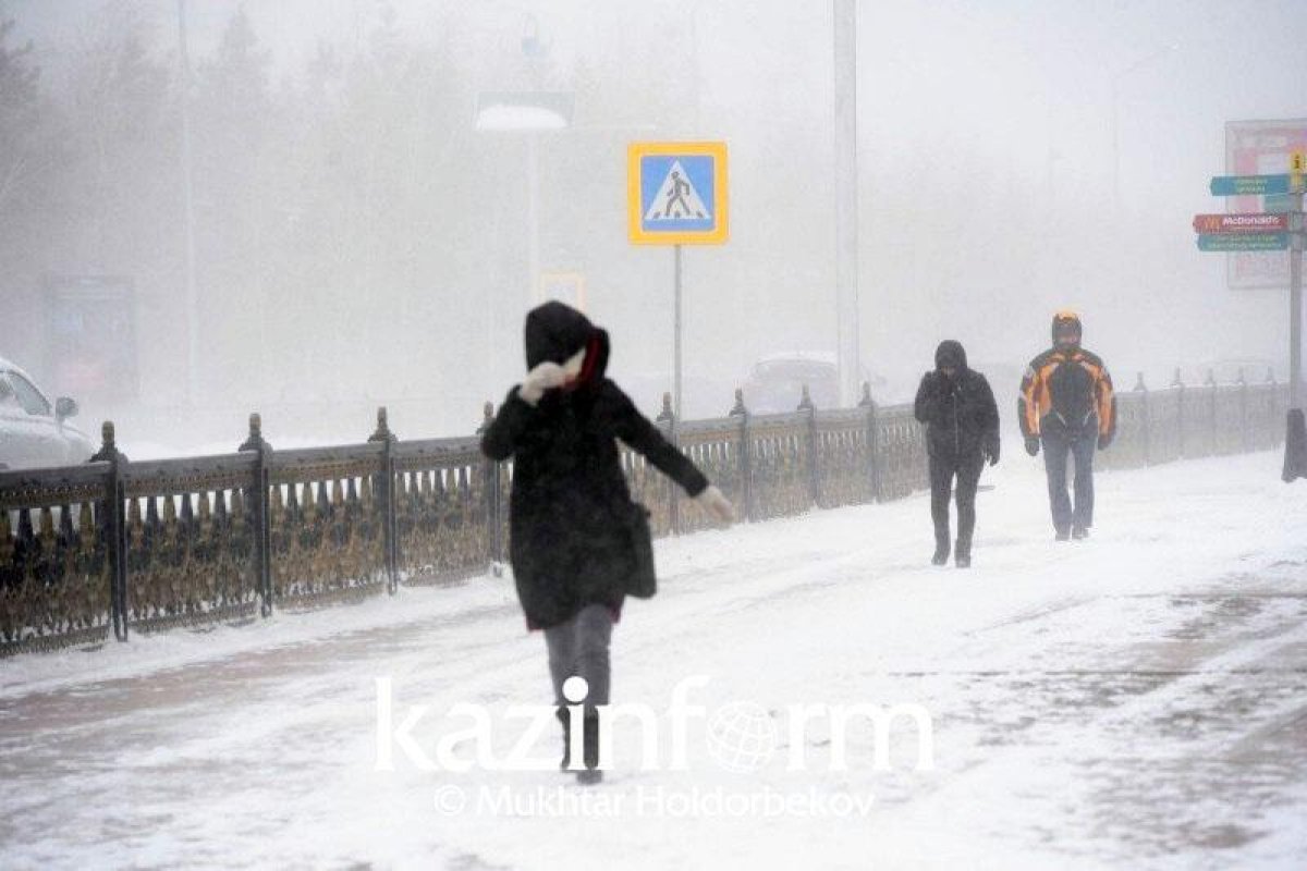 Фото: ашық дереккөзден