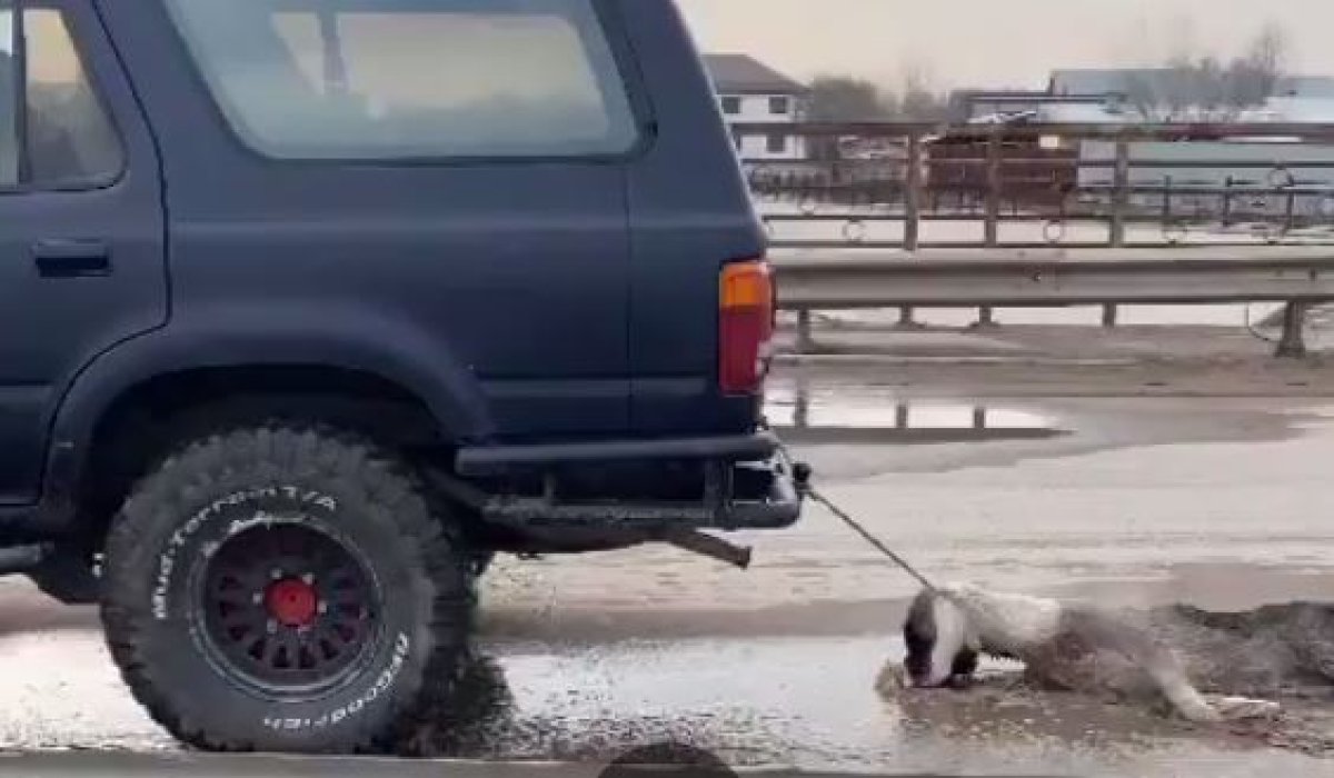 Фото: ашық дереккөз