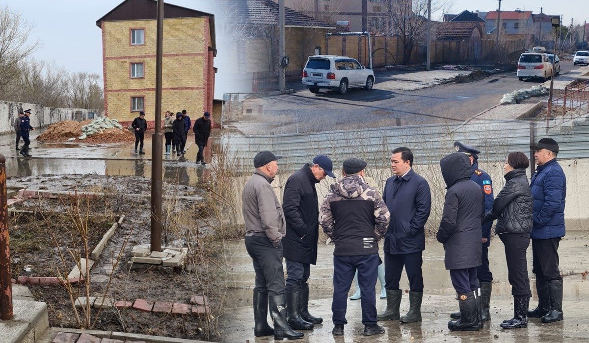 Фото: ашық дереккөз