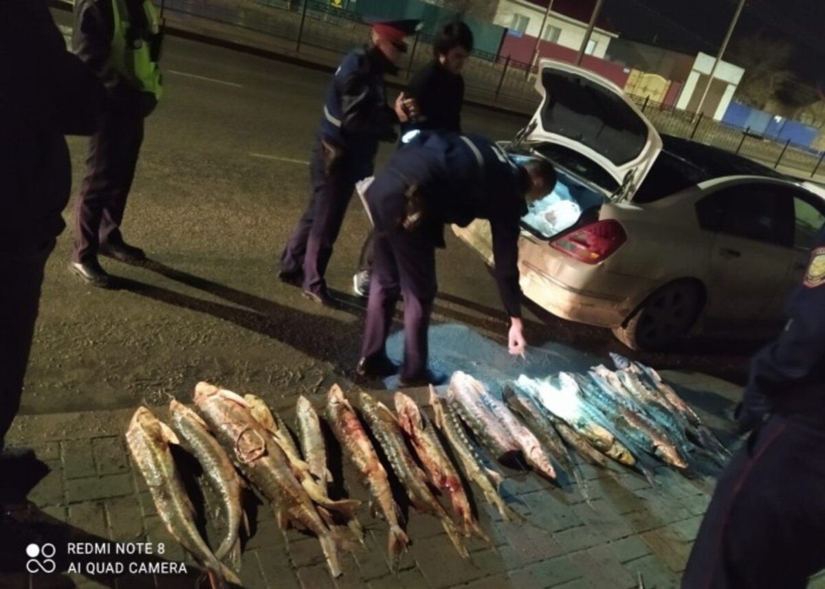 Фото: turkystan.kz