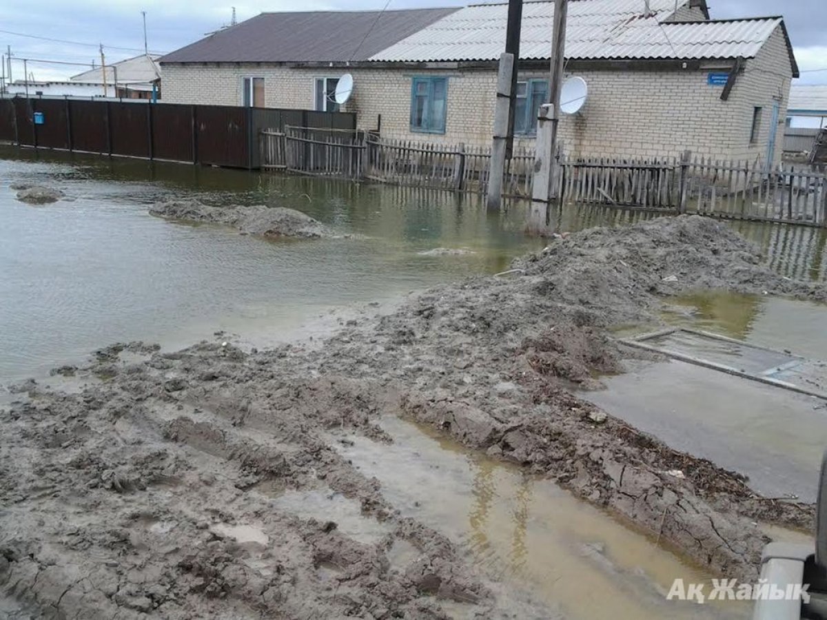 Фото: ашық дереккөз