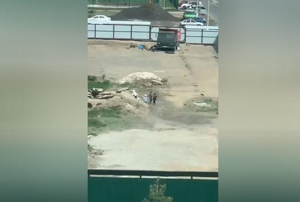 Фото: ашық дереккөз