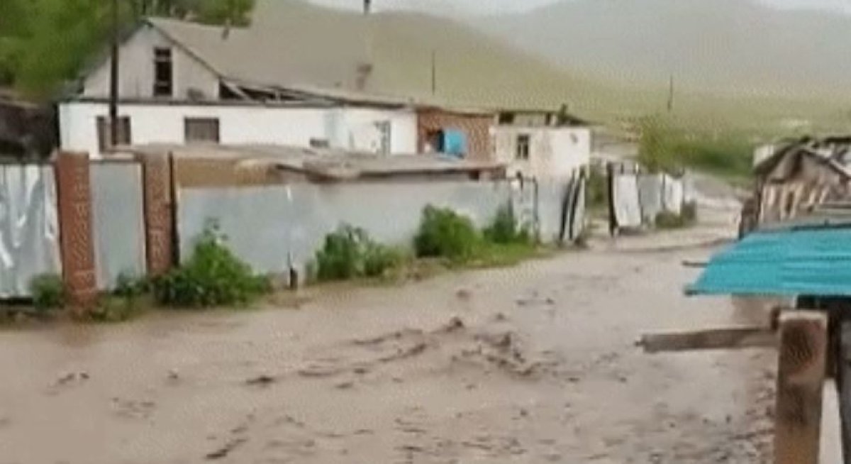 Фото: ашық дереккөз