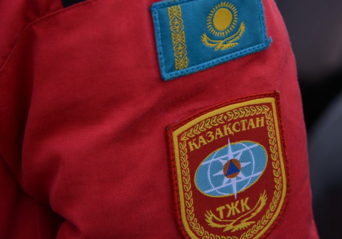 Фото: ашық дереккөз