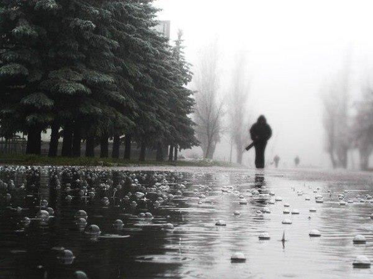 Фото: ашық дереккөз