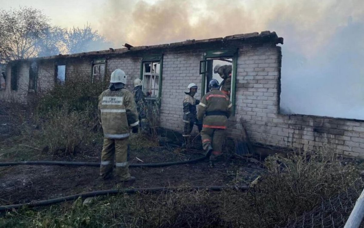 фото: ашық дереккөз